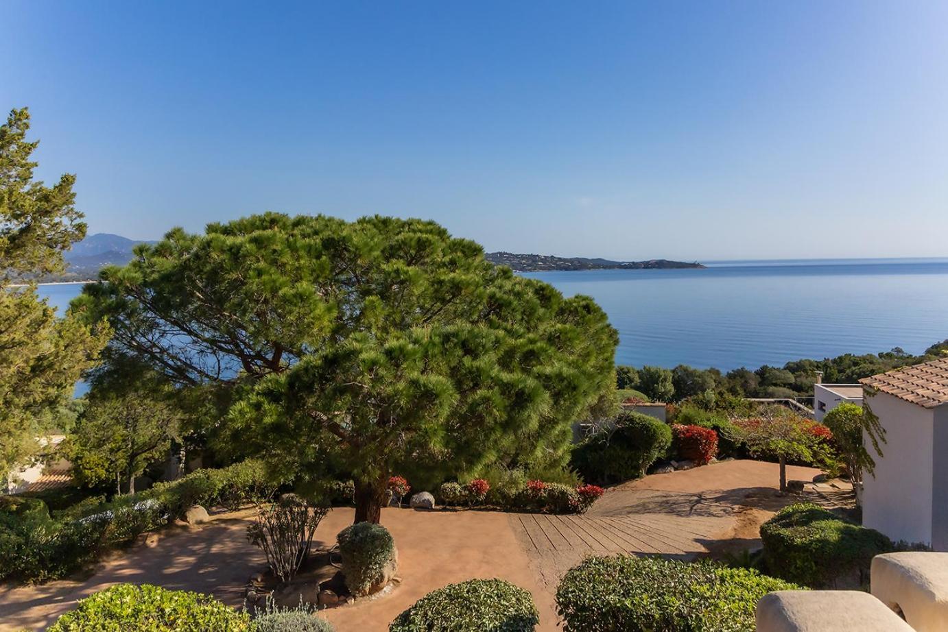 Hébergement de vacances Résidence U Paviddonu Porto-Vecchio (Corsica)