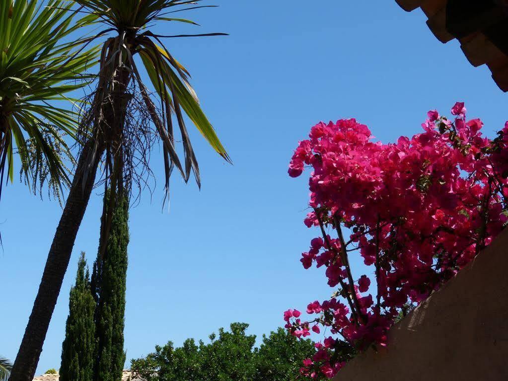 Hébergement de vacances Résidence U Paviddonu
